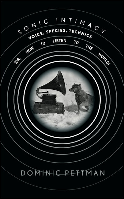 Book cover image for Sonic Intimacy ISBN: 9780804799881